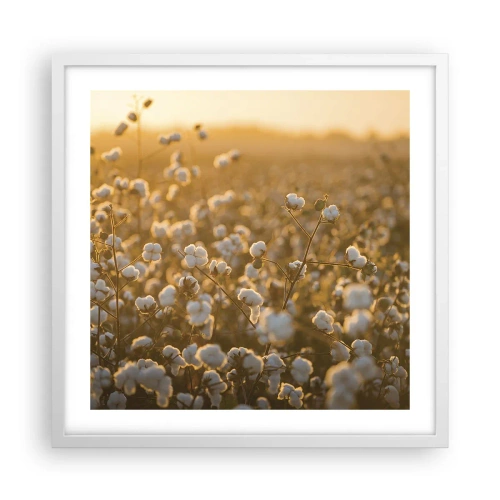 Affiche dans un cadre blanc - Poster - Champ moelleux - 50x50 cm