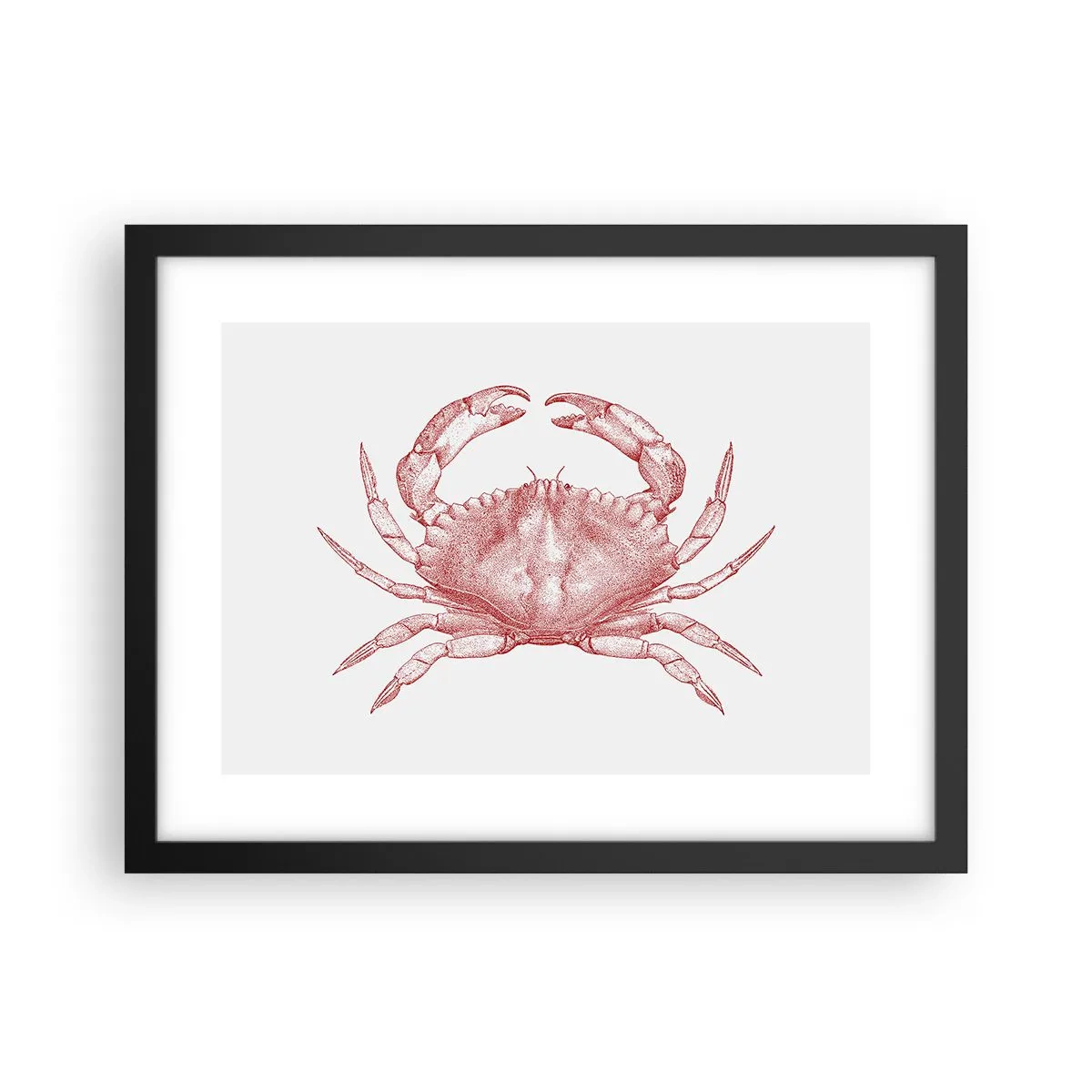 Affiche dans un cadre noir - Poster - Le crabe des crabes - 40x30 cm