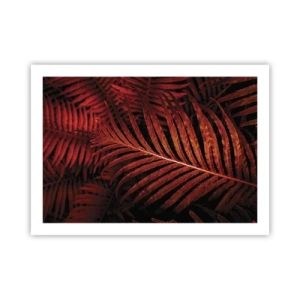 Affiche - Poster - Chaleur de la vie - 70x50 cm