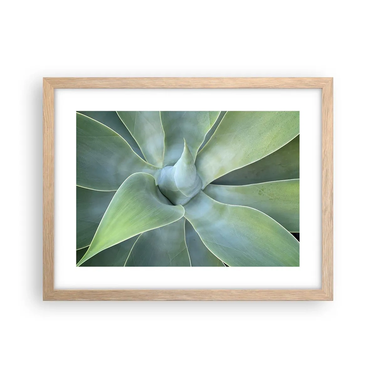 Affiche dans un chêne clair - Poster - La naissance de la verdure - 40x30 cm