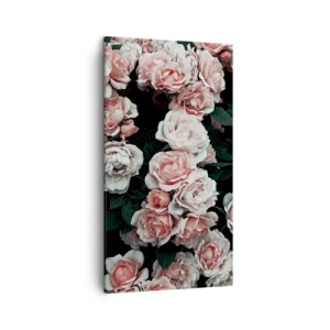 Impression sur toile - Image sur toile - Ensemble de rose - 45x80 cm