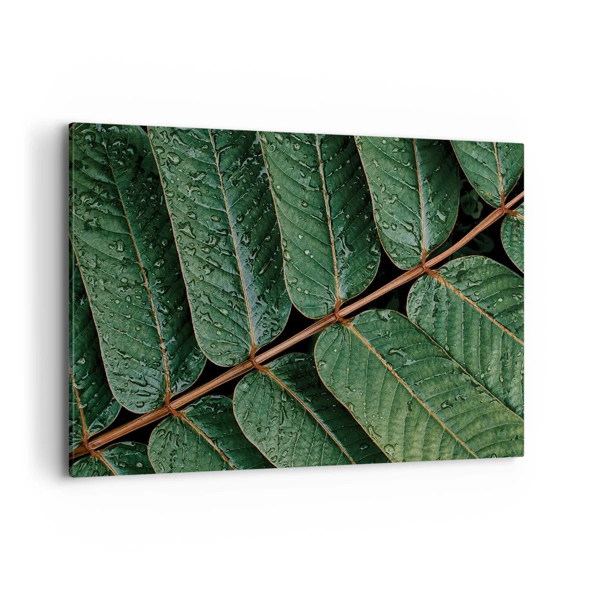 Impression sur toile - Image sur toile - Macro shot de feuilles vertes avec des gouttes de rosée - 120x80cm - Au rythme de la verdure - Décoration murale moderne pour le salon et la chambre ARTTOR