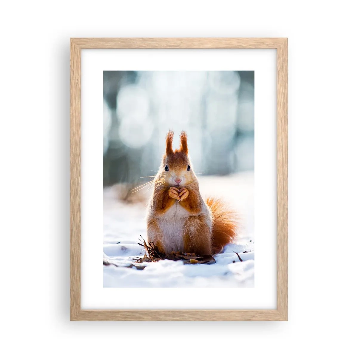 Affiche dans un chêne clair - Poster - Qu'est ce que tu regardes comme ça? - 30x40 cm