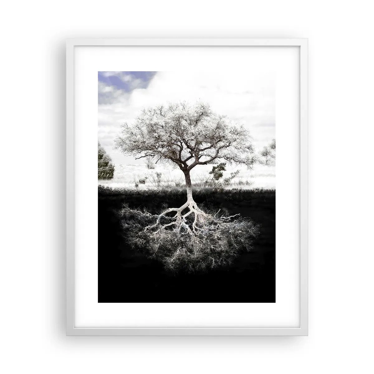 Affiche dans un cadre blanc - Poster - Découvrir la nature du monde - 40x50 cm