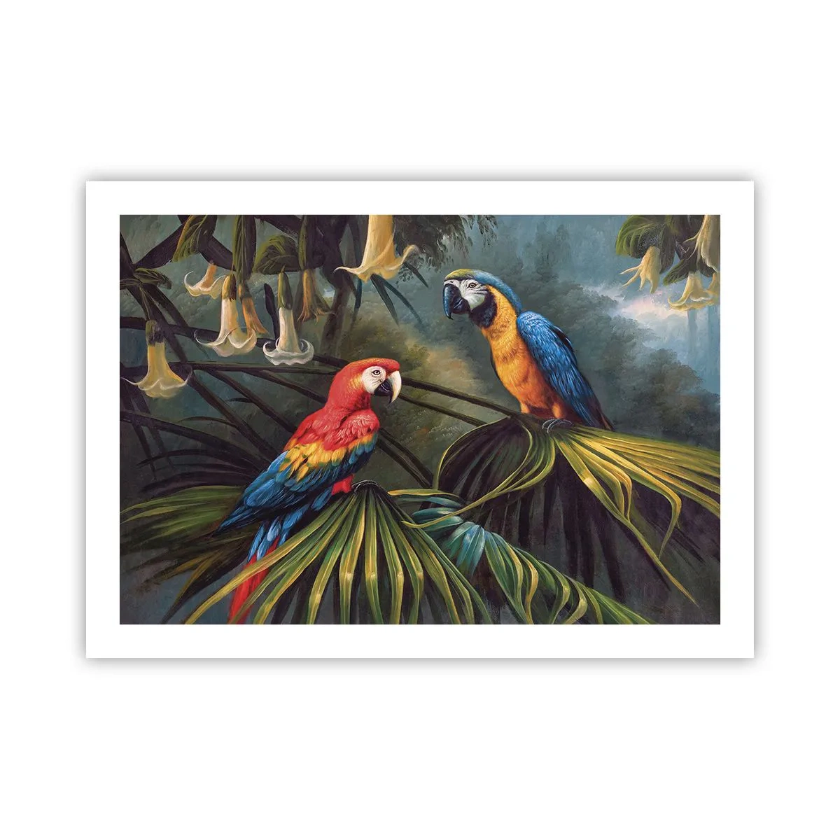 Affiche - Poster - Romantisme dans les tropiques - 70x50 cm