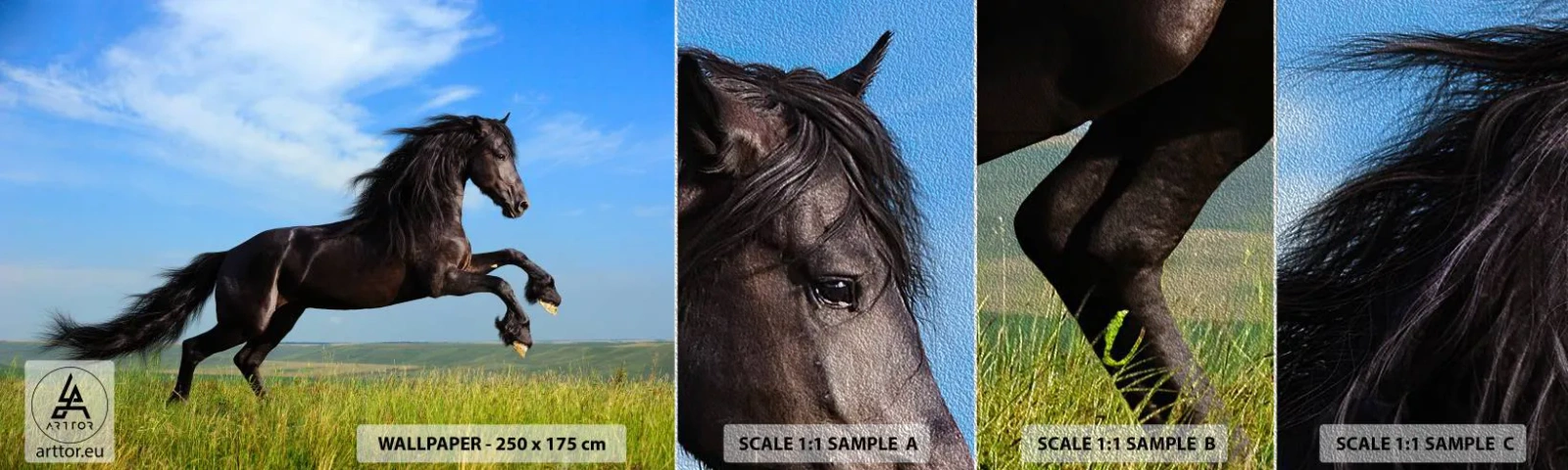 Échantillon de Papier Peint Premium Sand - Un manifeste de liberté passionnant - Animaux, Cheval, Paysage - 100x30 cm