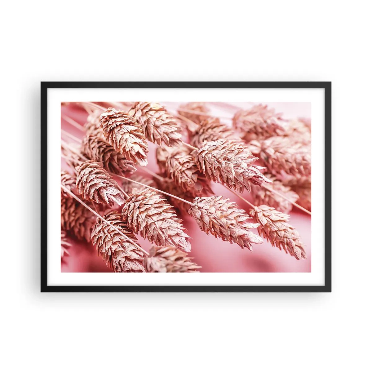 Affiche dans un cadre noir - Poster - Gros plan des oreilles teintées de rose - 70x50cm - Une cascade florale en rose - Décoration murale moderne pour le salon et la chambre ARTTOR