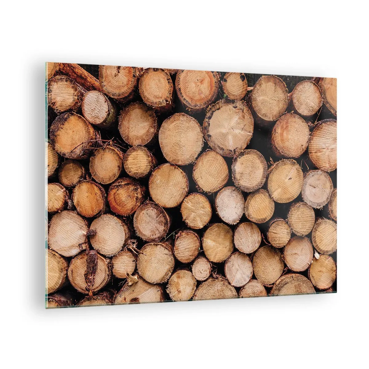 Impression sur verre - Image sur verre - Troncs d'arbres disposés verticalement avec des cernes de croissance visibles - 70x50cm - Nouveau commencement - Décoration murale moderne pour le salon et la chambre ARTTOR