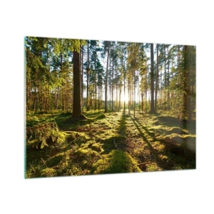 Impression sur verre - Image sur verre - Les rayons du soleil pénètrent à travers les arbres de la forêt - 100x70cm - … Derrière les sept forêts - Décoration murale moderne pour le salon et la chambre ARTTOR