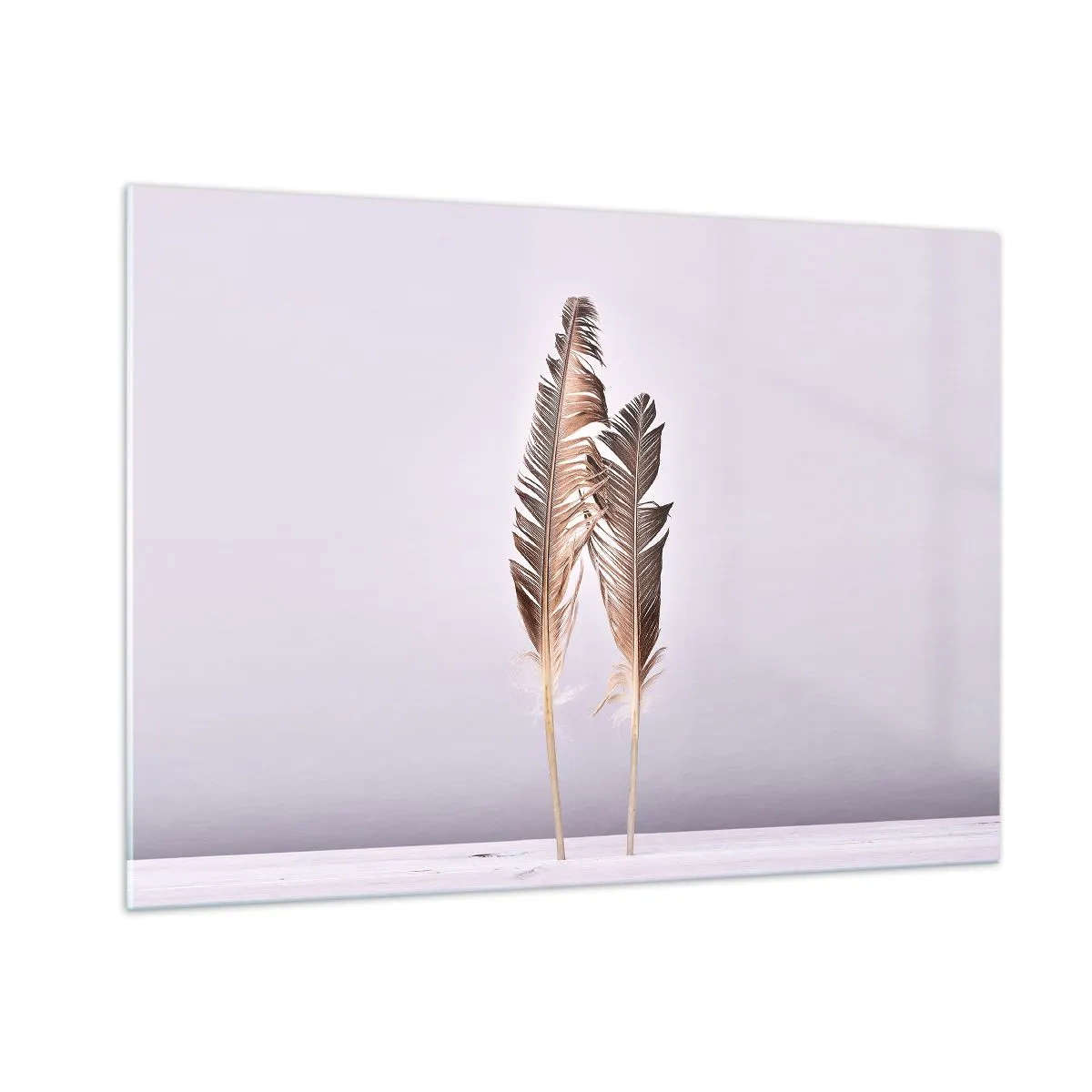 Impression sur verre - Image sur verre - Deux plumes délicates sur un fond clair - 100x70cm - Face au néant - Décoration murale moderne pour le salon et la chambre ARTTOR