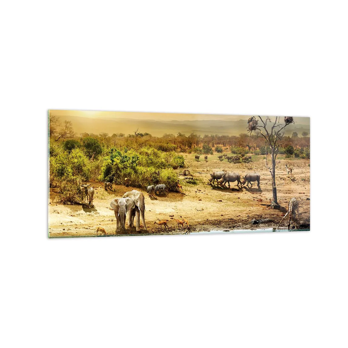 Impression sur verre - Image sur verre - Éléphants et animaux sauvages à un point d'eau au coucher du soleil - 120x50cm - "Et d'Eden coulait une rivière..." - Décoration murale moderne pour le salon et la chambre ARTTOR