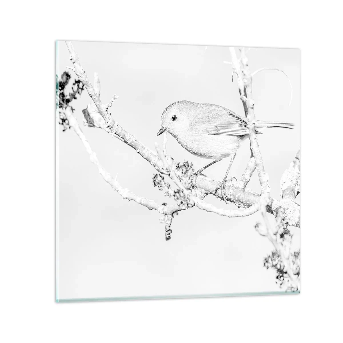 Impression sur verre - Image sur verre - Matin d'hiver - 30x30 cm