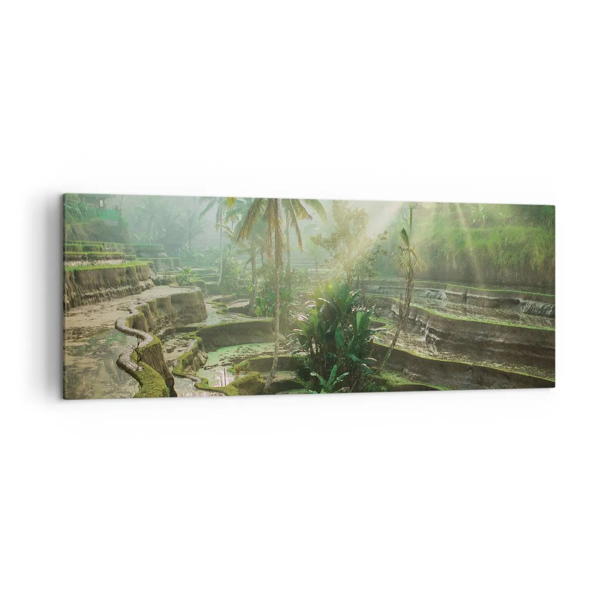 Impression sur toile - Image sur toile - Rizières en terrasses avec palmiers sous les rayons du soleil - 140x50cm - Grandir au soleil - Décoration murale moderne pour le salon et la chambre ARTTOR
