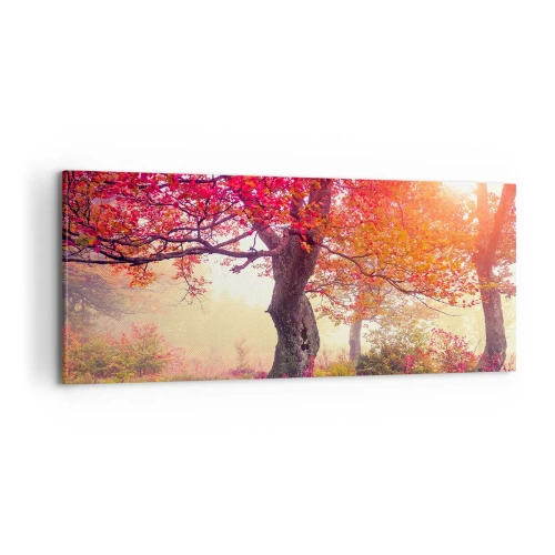 Impression sur toile - Image sur toile - Frénésie de floraison - 100x40 cm