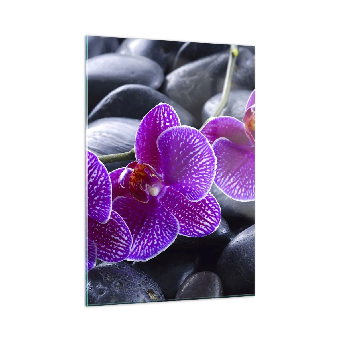 Impression sur verre - Image sur verre - Orchidées violettes sur fond de pierres lisses - 50x70cm - Les pierres brillaient de joie - Décoration murale moderne pour le salon et la chambre ARTTOR