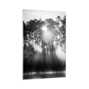 Impression sur verre - Image sur verre - Forêt noire et blanche dans le brouillard du matin - 80x120cm - Soleil inarrêtable - Décoration murale moderne pour le salon et la chambre ARTTOR
