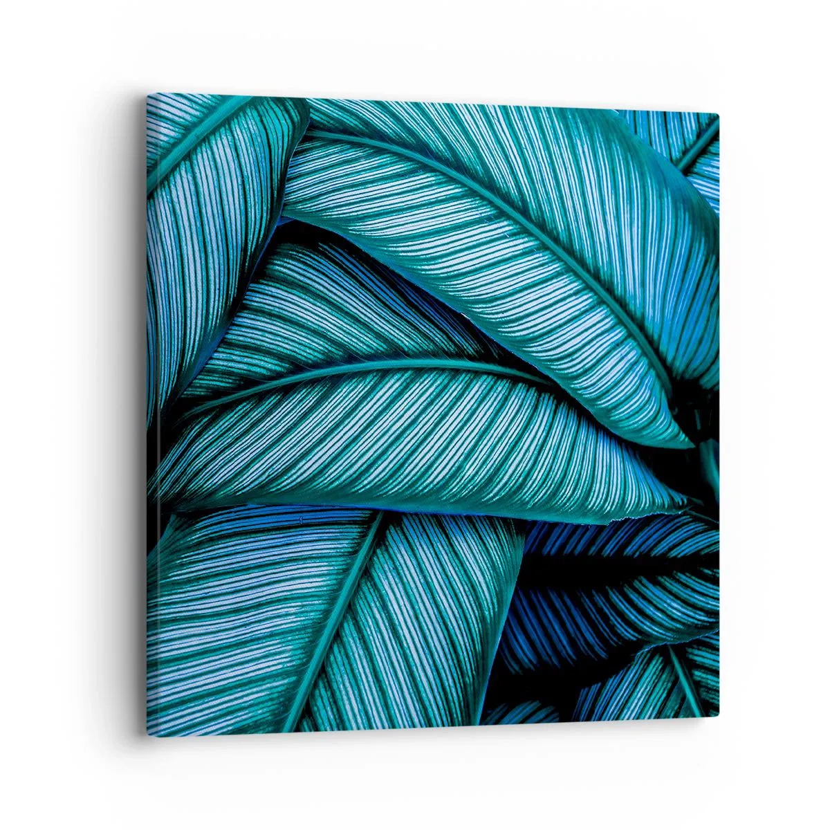 Impression sur toile - Image sur toile - Lignes de vie - 30x30 cm