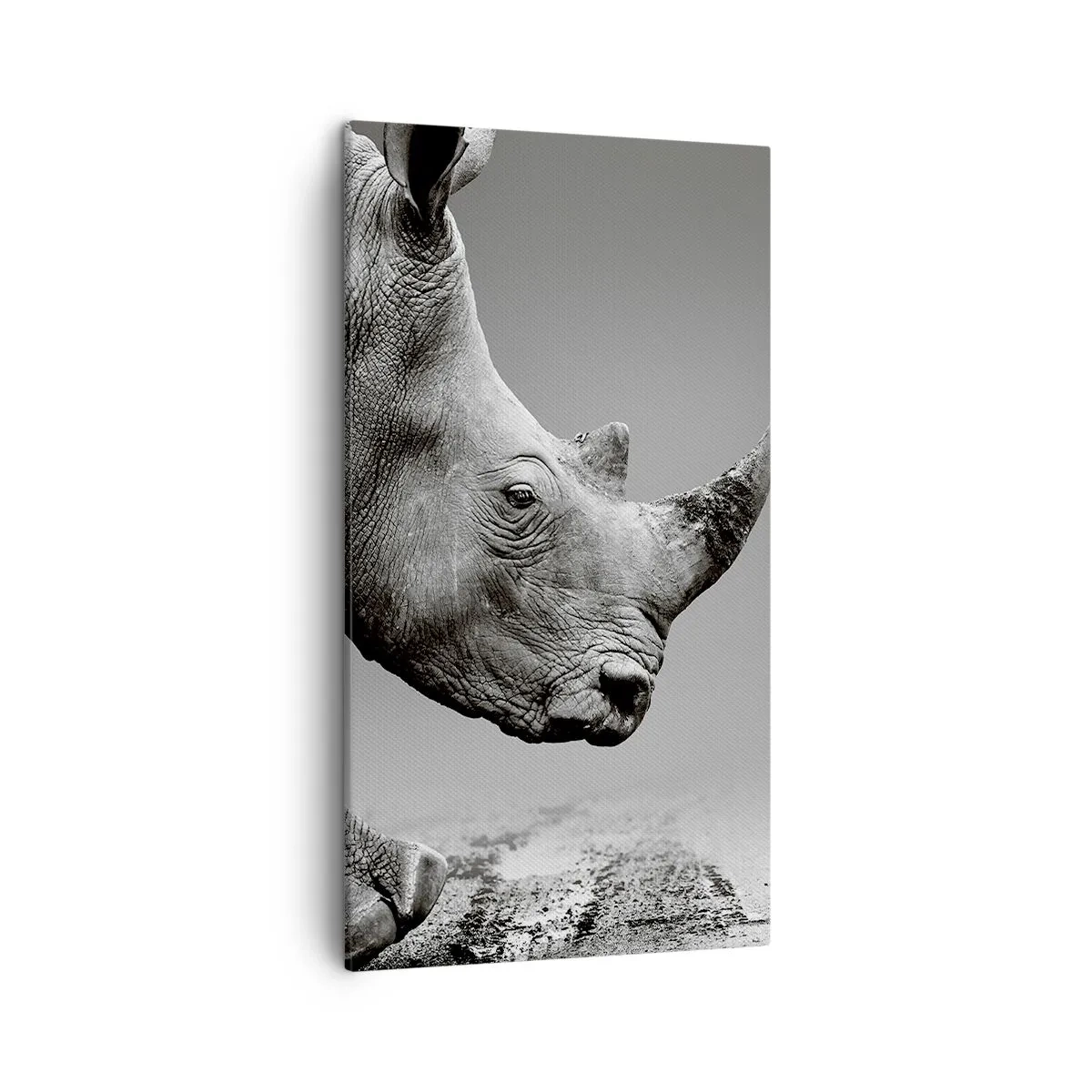 Impression sur toile - Image sur toile - Force inarrêtable - 45x80 cm