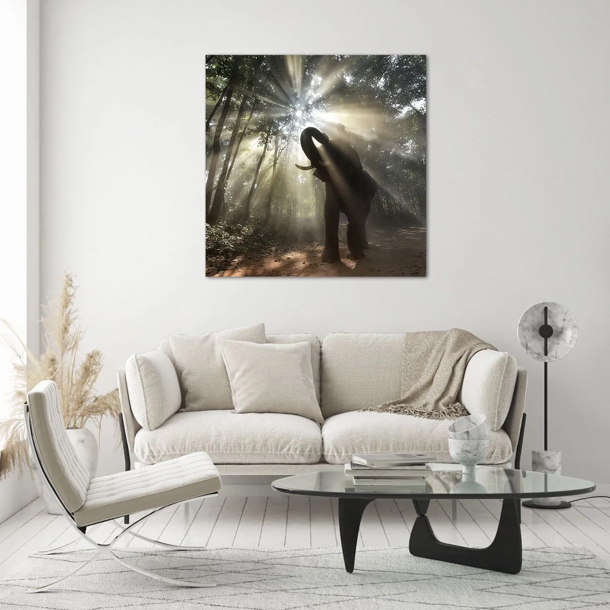 Impression sur verre - Image sur verre - Sous la bonne étoile - 70x70 cm