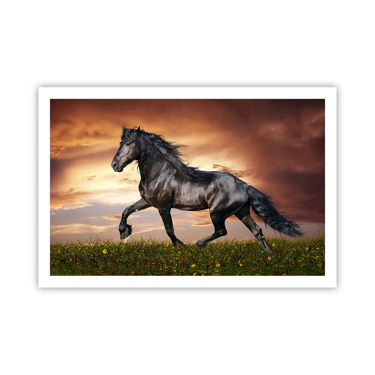 Affiche - Poster - Livres noirs - 91x61 cm