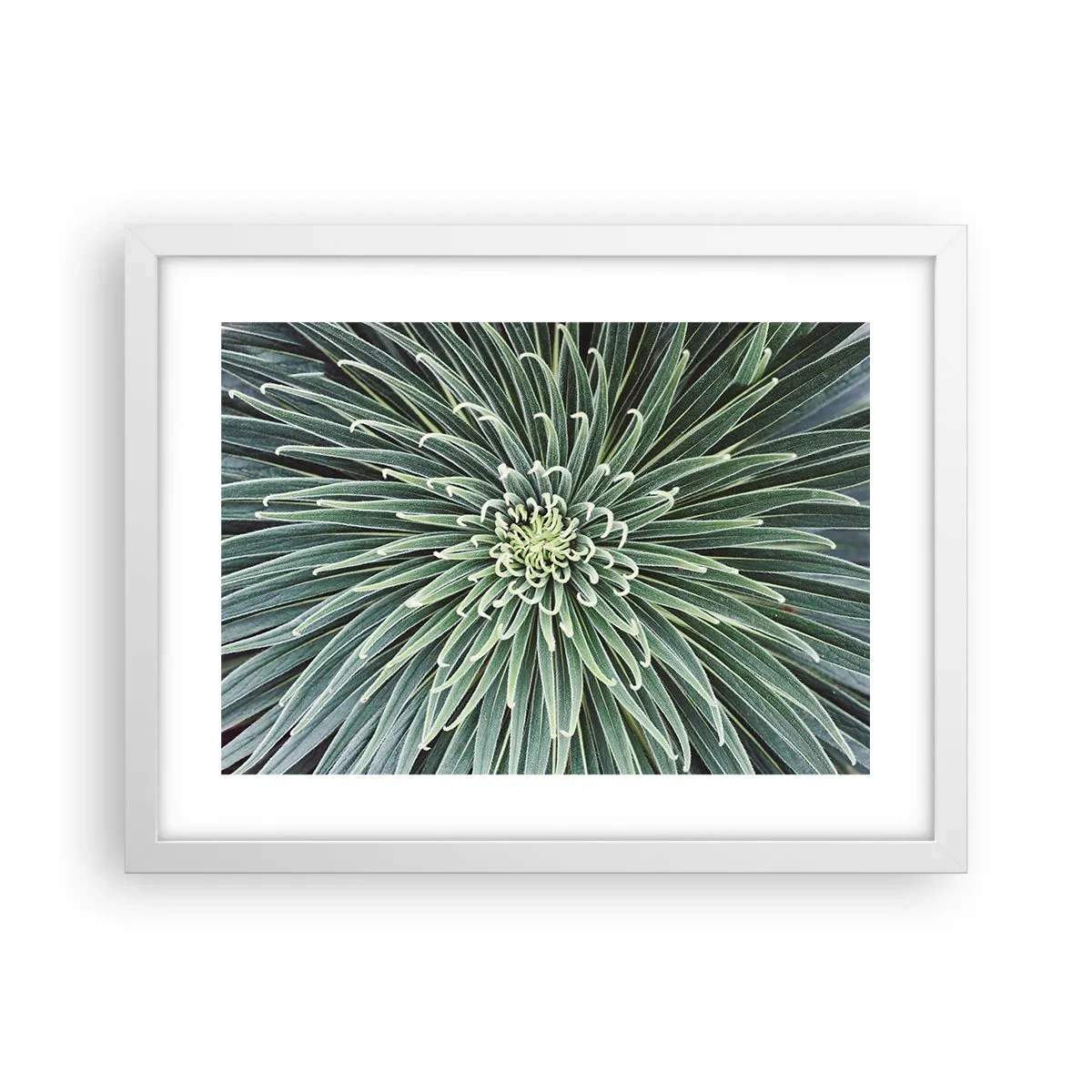 Affiche dans un cadre blanc - Poster - Naissance d'une étoile - 40x30 cm