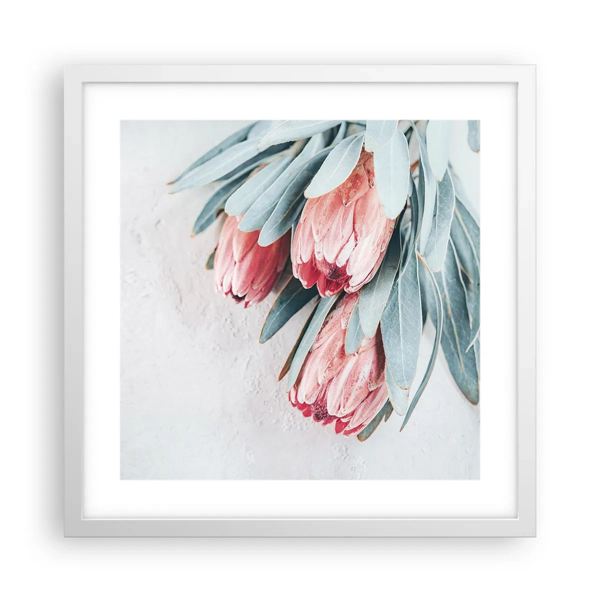 Affiche dans un cadre blanc - Poster - Honte de leur propre beauté - 40x40 cm