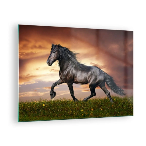 Impression sur verre - Image sur verre - Un cheval noir galopant contre le soleil couchant - 70x50cm - Livres noirs - Décoration murale moderne pour le salon et la chambre ARTTOR
