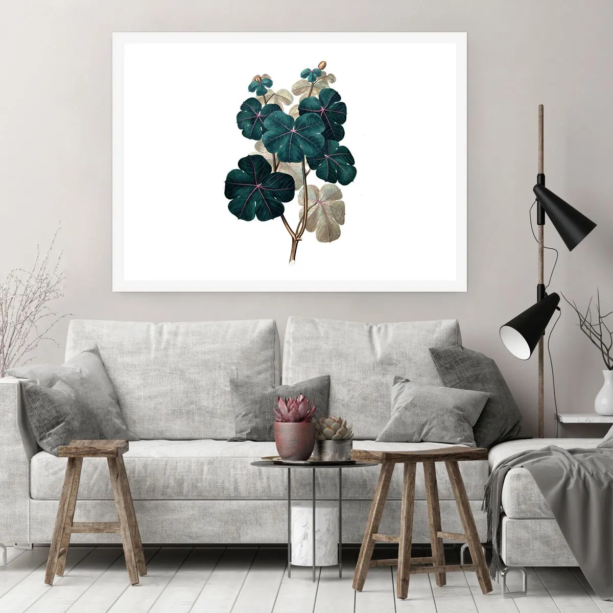 Affiche - Poster - De l'ancien herbier - 50x40 cm