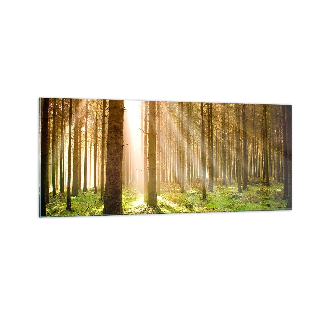 Impression sur verre - Image sur verre - Les elfes vont bientôt apparaître - 100x40 cm