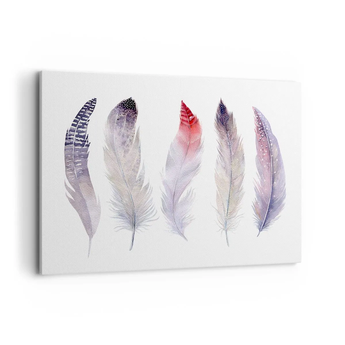 Impression sur toile - Image sur toile - Cinq plumes délicates aux tons pastel sur fond clair - 100x70cm - Délicat comme un brouillard multicolore - Décoration murale moderne pour le salon et la chambre ARTTOR