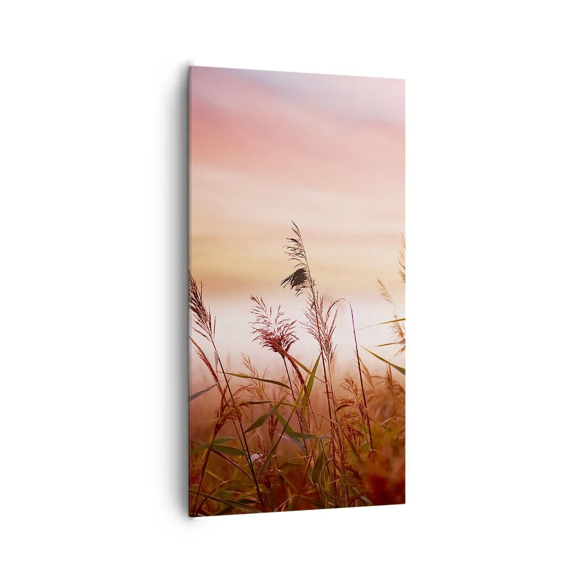 Impression sur toile - Image sur toile - Cerfs-volants, pissenlits, vent - 65x120 cm