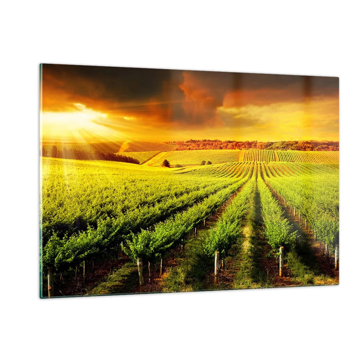 Impression sur verre - Image sur verre - Vignoble à la lumière du soleil couchant - 120x80cm - Sous le soleil australien - Décoration murale moderne pour le salon et la chambre ARTTOR