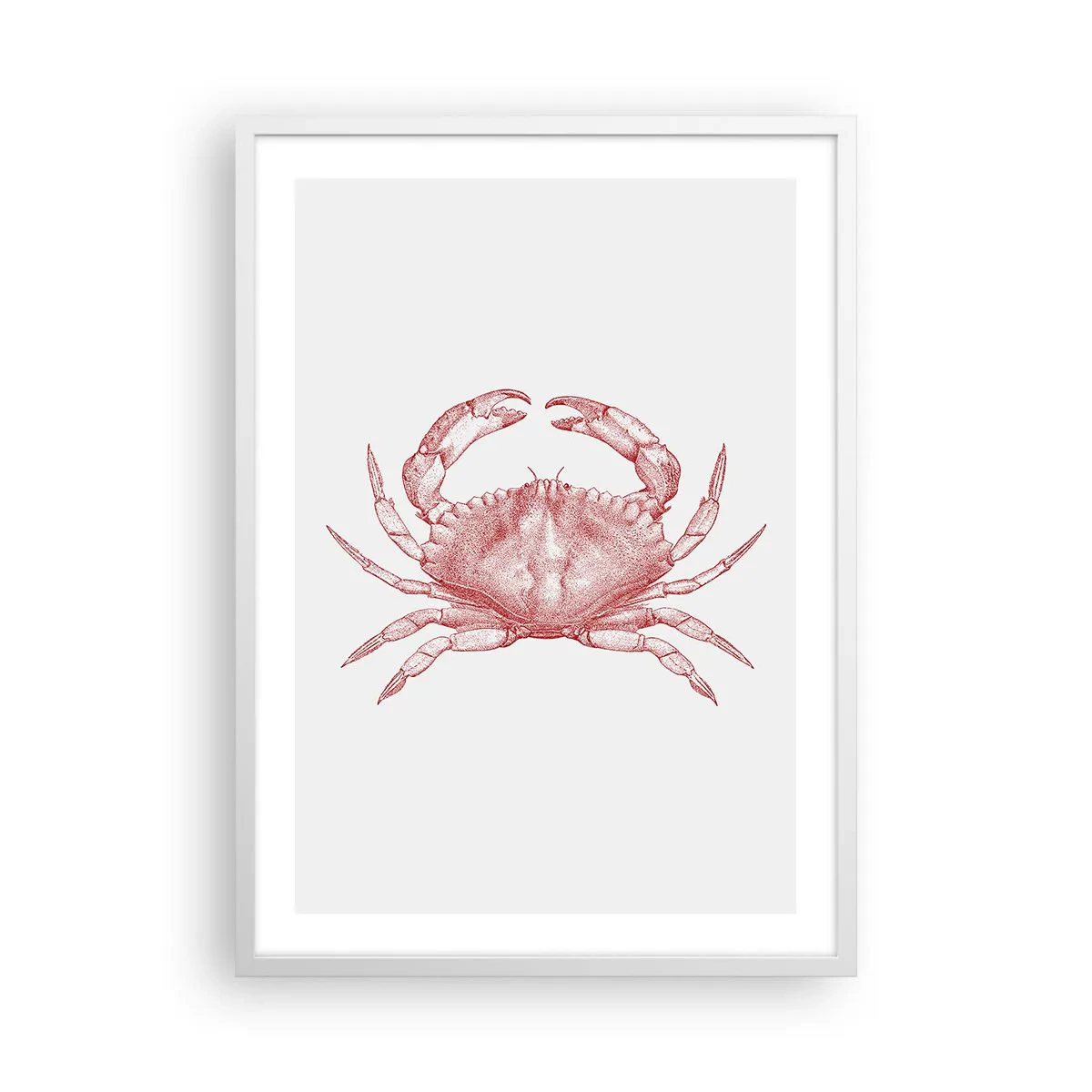 Affiche dans un cadre blanc - Poster - Le crabe des crabes - 50x70 cm