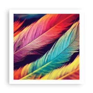 Affiche - Poster - Arc-en-ciel de plumes - 60x60 cm