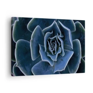 Impression sur toile - Image sur toile - Gros plan d'une rosette succulente verte - 70x50cm - Fleur du désert - Décoration murale moderne pour le salon et la chambre ARTTOR