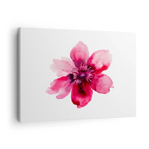 Impression sur toile - Image sur toile - Fleur rose dans un style aquarelle sur fond blanc - 70x50cm - Un baiser parfumé au carmin - Décoration murale moderne pour le salon et la chambre ARTTOR