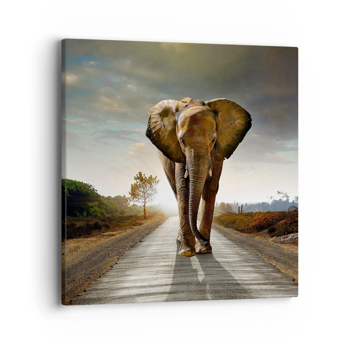 Impression sur toile - Image sur toile - Et pas du tout en porcelaine - 40x40 cm