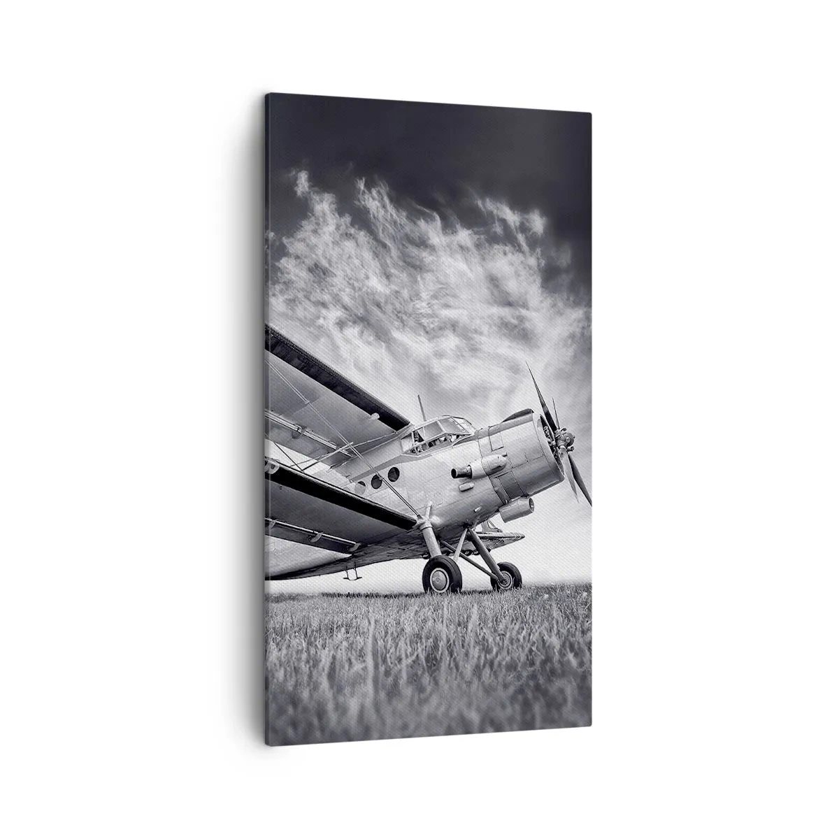 Impression sur toile - Image sur toile - Le pèlerin ailé - 45x80 cm