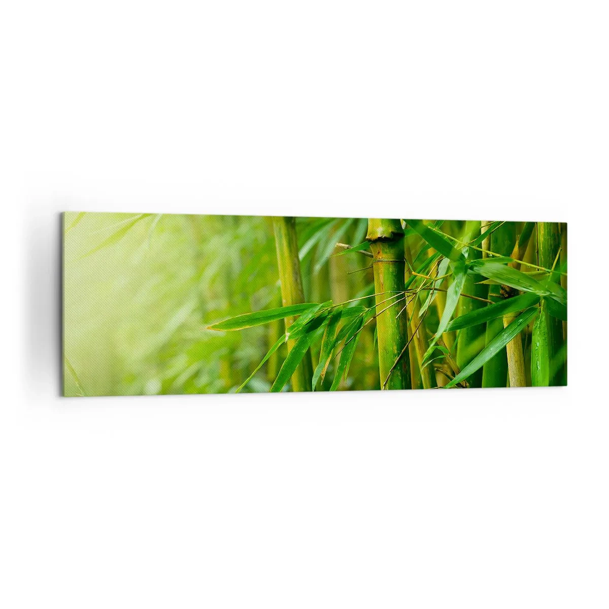 Impression sur toile - Image sur toile - Forêt de bambous verts dans une lumière douce - 160x50cm - Apprenez à connaître le vert lui-même - Décoration murale moderne pour le salon et la chambre ARTTOR
