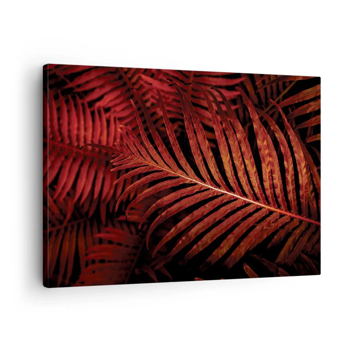 Impression sur toile - Image sur toile - Gros plan de feuilles tropicales rouges - 70x50cm - Chaleur de la vie - Décoration murale moderne pour le salon et la chambre ARTTOR