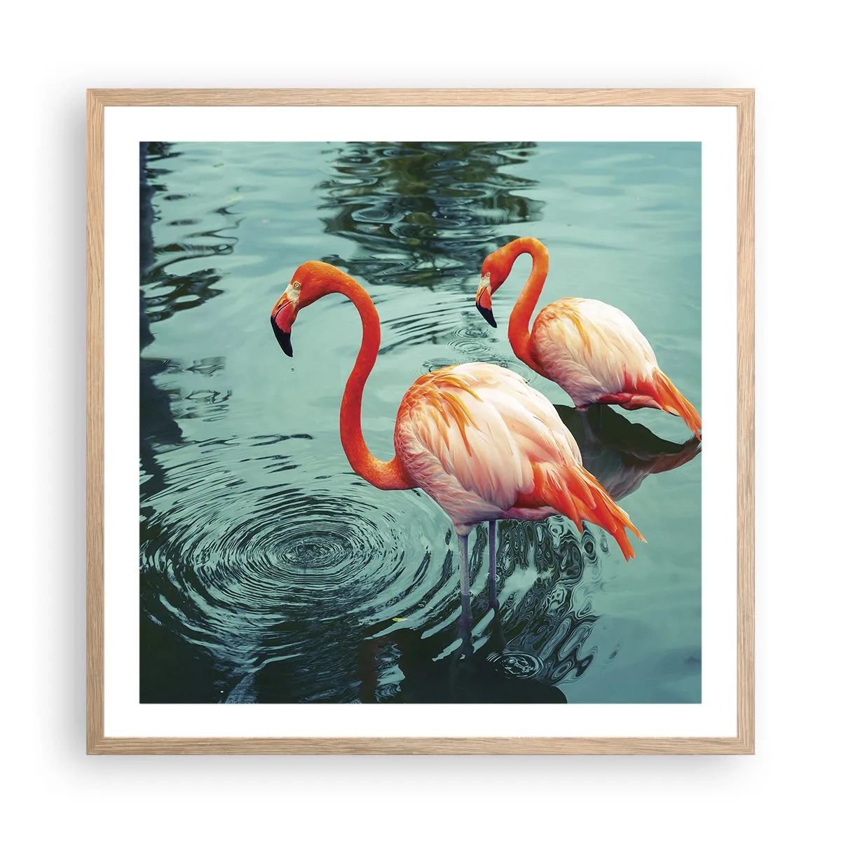 Affiche dans un chêne clair - Poster - Nous sommes à la mode maintenant - 60x60 cm