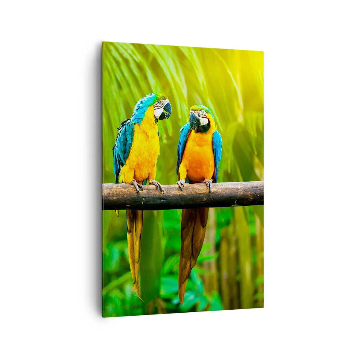 Impression sur toile - Image sur toile - Trois perroquets colorés sur fond de verdure tropicale - 80x120cm - Et avez-vous entendu qu'elle ...? - Décoration murale moderne pour le salon et la chambre ARTTOR