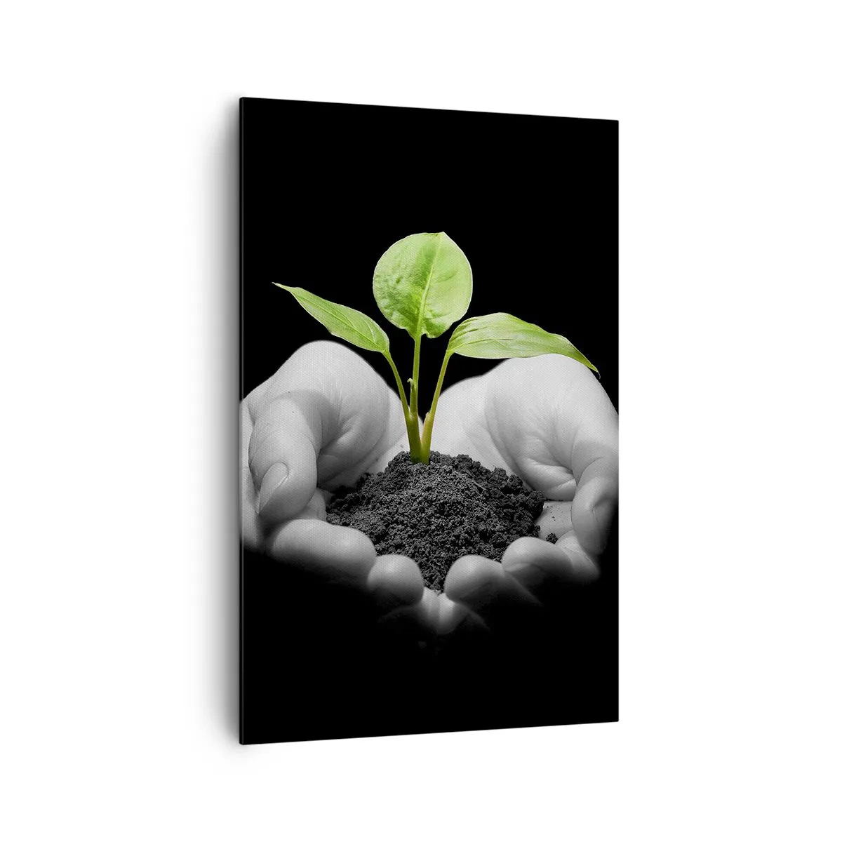 Impression sur toile - Image sur toile - Mains tenant une plante verte sur fond noir - 80x120cm - J'aime la nature, je la protège - Décoration murale moderne pour le salon et la chambre ARTTOR