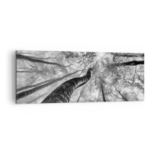 Impression sur toile - Image sur toile - Perspective d'arbres dans une forêt vue d'en bas en nuances de gris - 140x50cm - Course vers la lumière - Décoration murale moderne pour le salon et la chambre ARTTOR