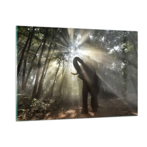Impression sur verre - Image sur verre - Un éléphant dans une forêt éclairée par la lumière du soleil - 120x80cm - Sous la bonne étoile - Décoration murale moderne pour le salon et la chambre ARTTOR