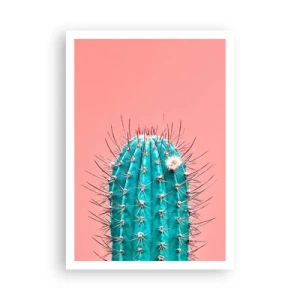 Affiche - Poster - Juste regarde - 70x100 cm