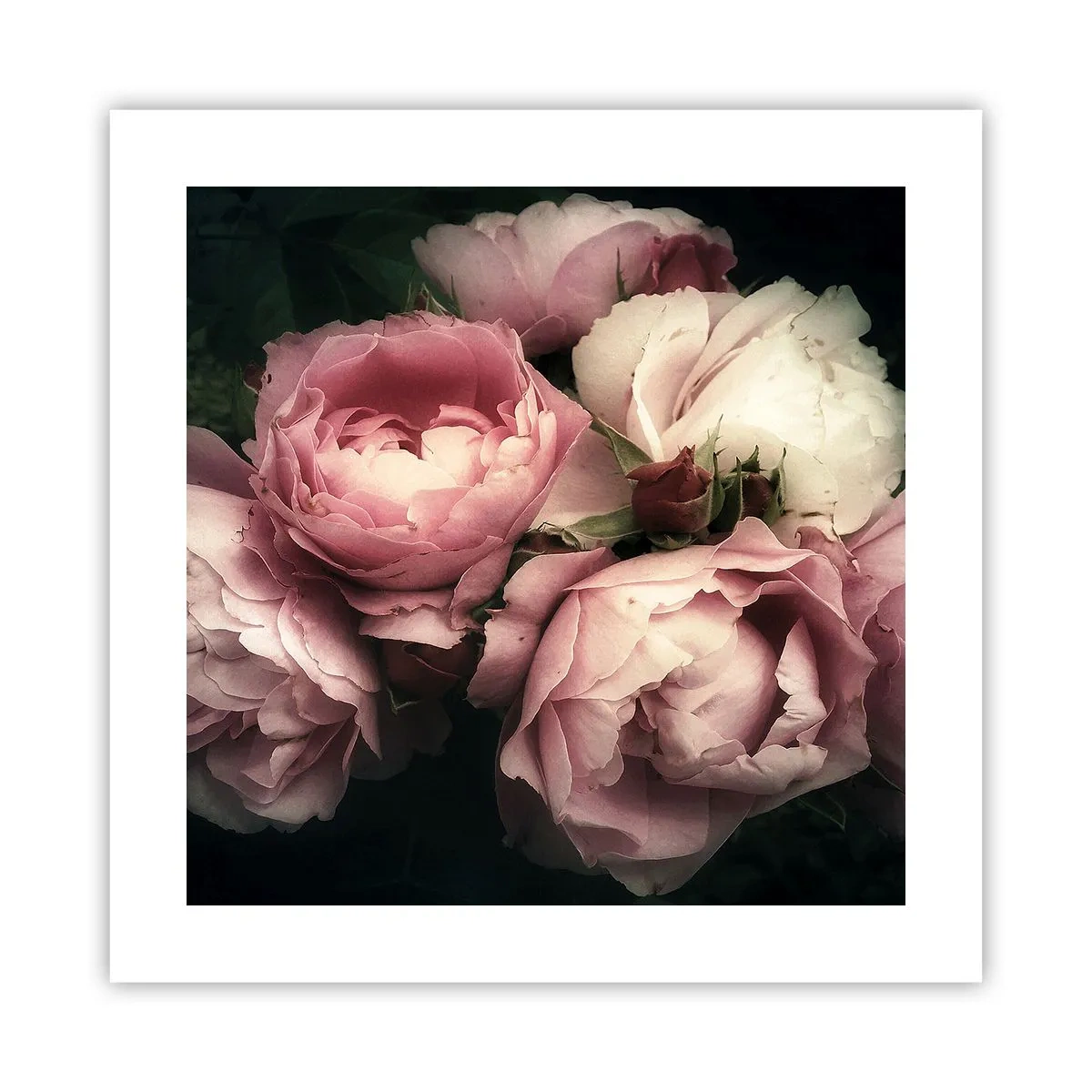 Affiche - Poster - Le charme de la belle époque - 40x40 cm