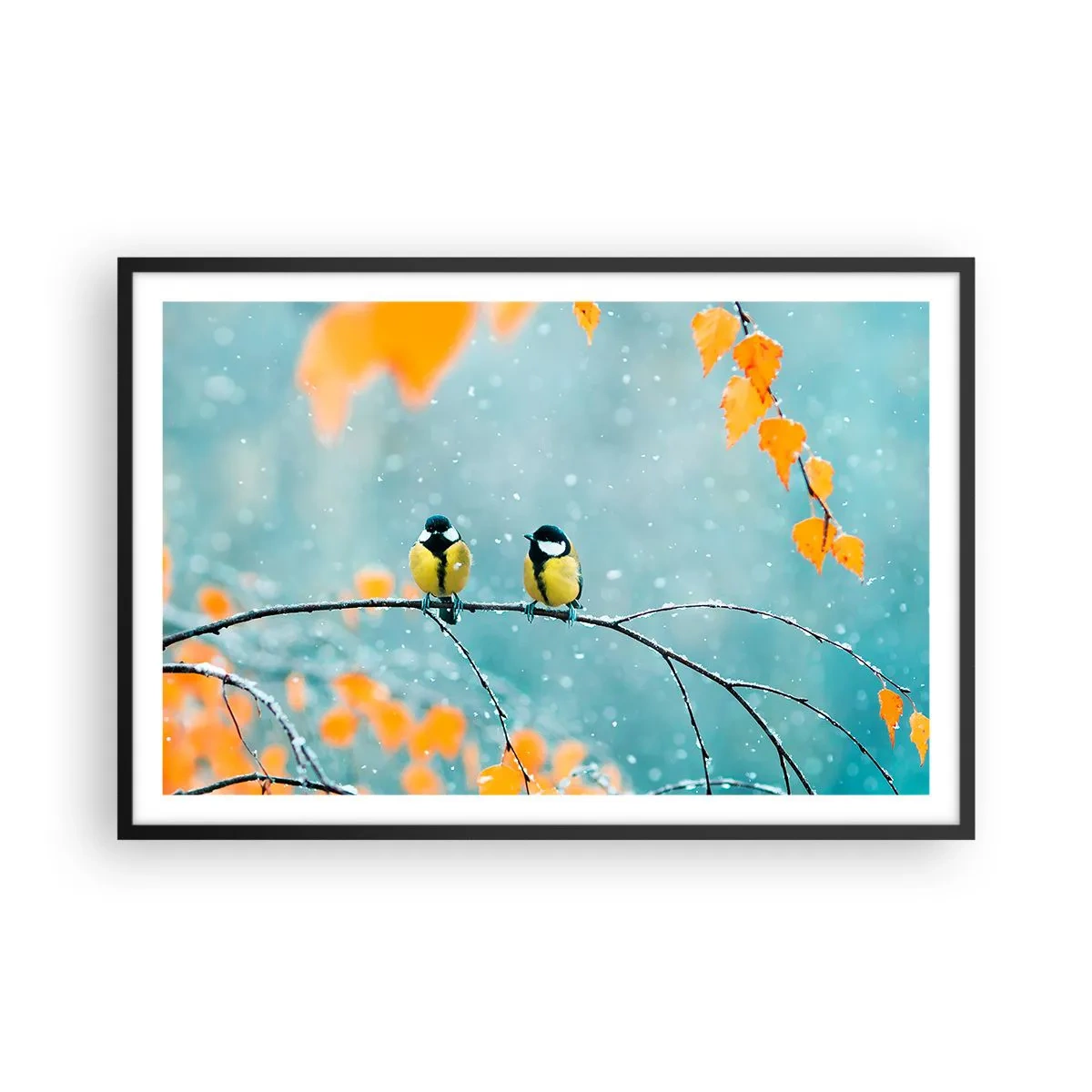 Affiche dans un cadre noir - Poster - Potins d'oiseaux - 91x61 cm