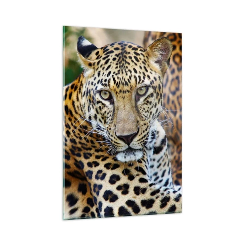 Impression sur verre - Image sur verre - Jaguar au repos dans un environnement naturel avec un fond vert. - 80x120cm - Sauvage et calme - Décoration murale moderne pour le salon et la chambre ARTTOR