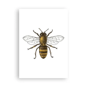 Affiche - Poster - Belle et bonne - 70x100 cm